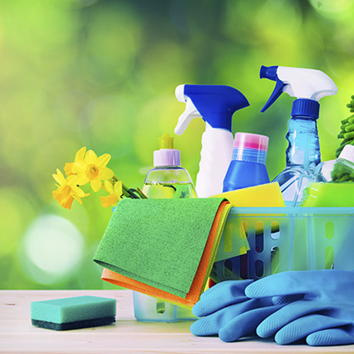 DXSA: Productos Ecológicos