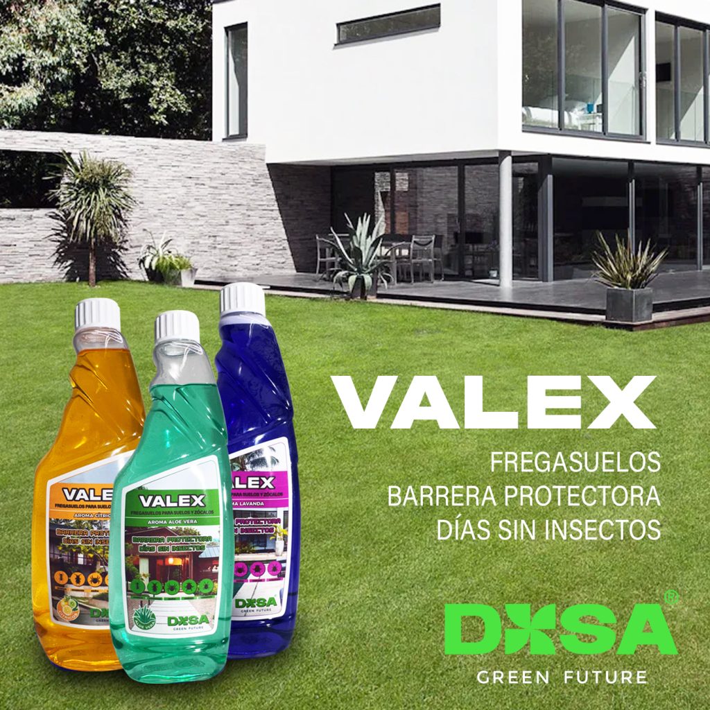 VALEX – El fregasuelos que ayuda a mantener tu hogar más tranquilo