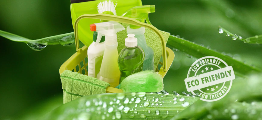 La importancia de La importancia de contar con productos con certificación ecológica