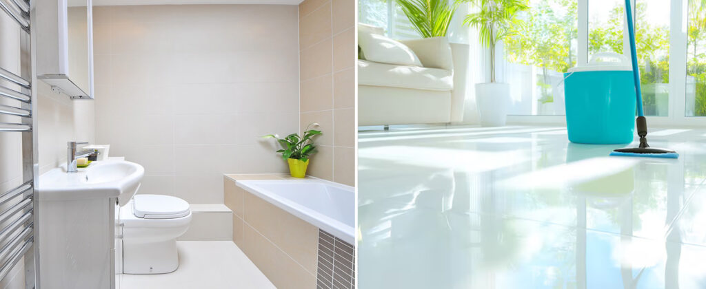 DX51M - Limpieza profesional higienizante ecologica - foto