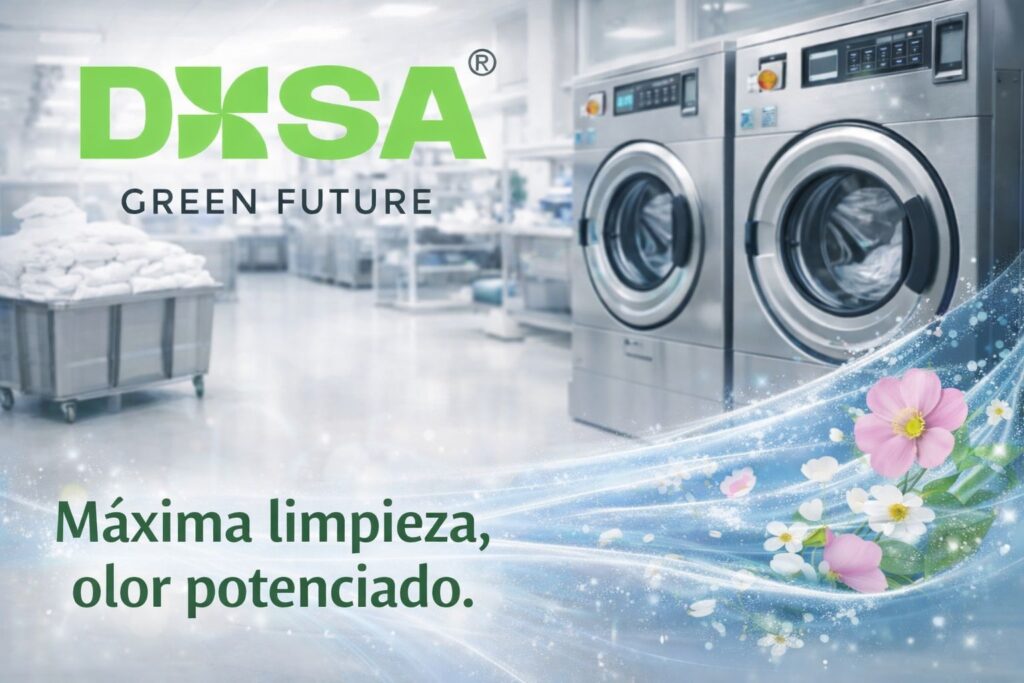 Linea de lavanderia profesional DXSA
