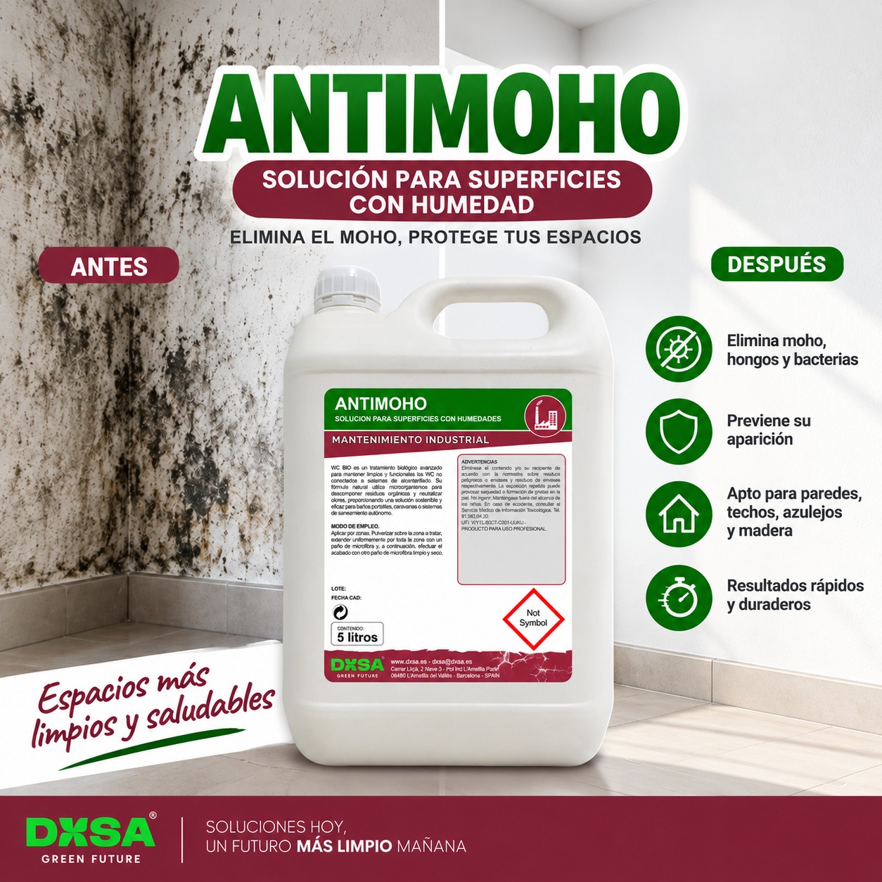 ANTIMOHO - Limpiador profesional para eliminar moho